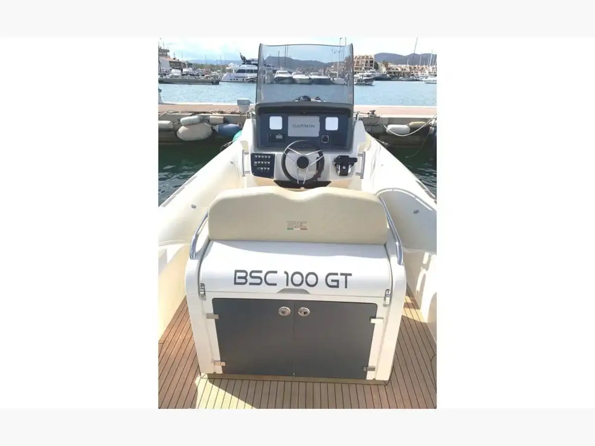 BSC 100